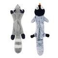 Raccoon Penguin