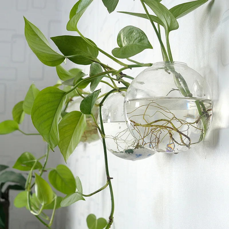 Wall Hanging Acrylic Fish Bowl Plexiglass Aquarium Vase Flower Ornament Clear Fish Tank Home Decor Plant Tank for Pets