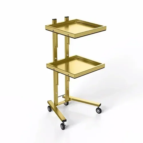 Spa Manicure Beauty Lash Salon Trolley Tool Acrylic Cosmetic Salon Trolley Rolling Make Up