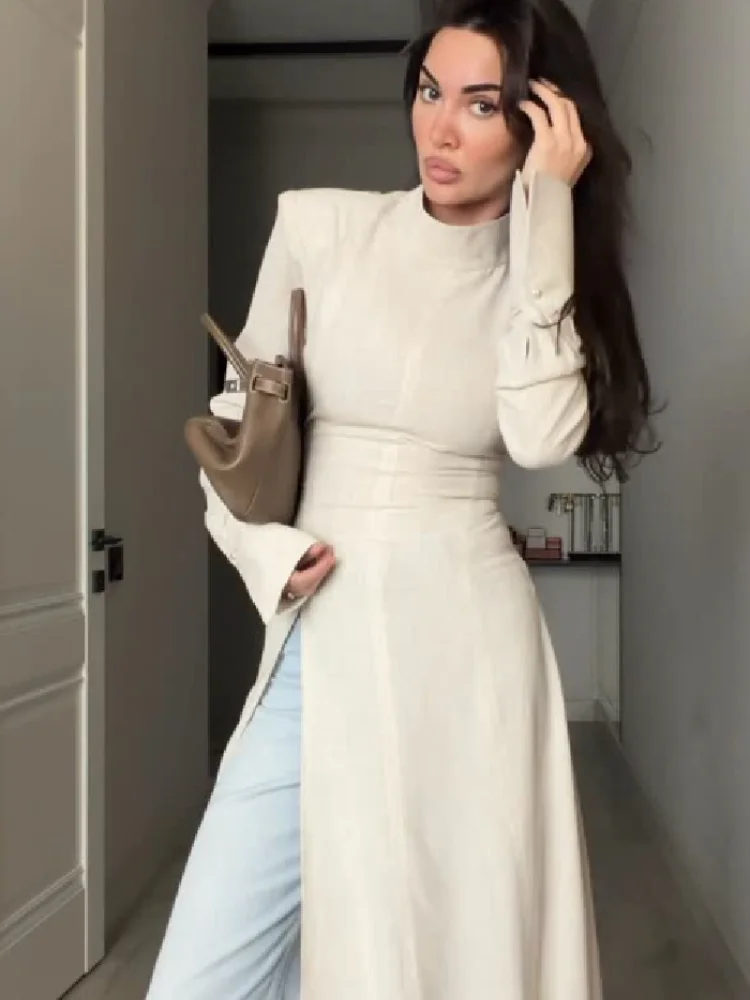 Chic Minimalist Tunic Dresses Vintage Office Side Slit Modest Shirt Dress Elegant Casual Daily Stylish Outfit