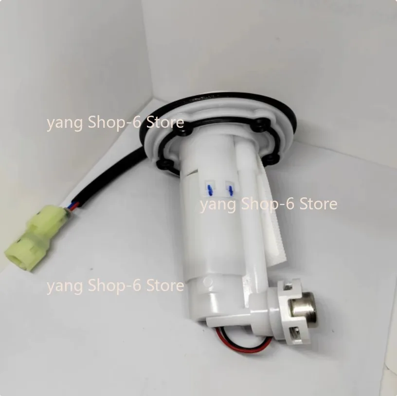 For CFMOTO 250NK 300NK 250SR 300SR Fuel Pump Fit Models After 2015