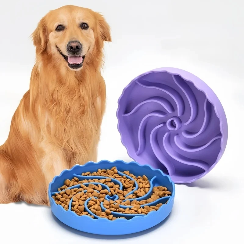 Por que usar comedouro lento para cães? Como evitar problemas digestivos e ansiedade