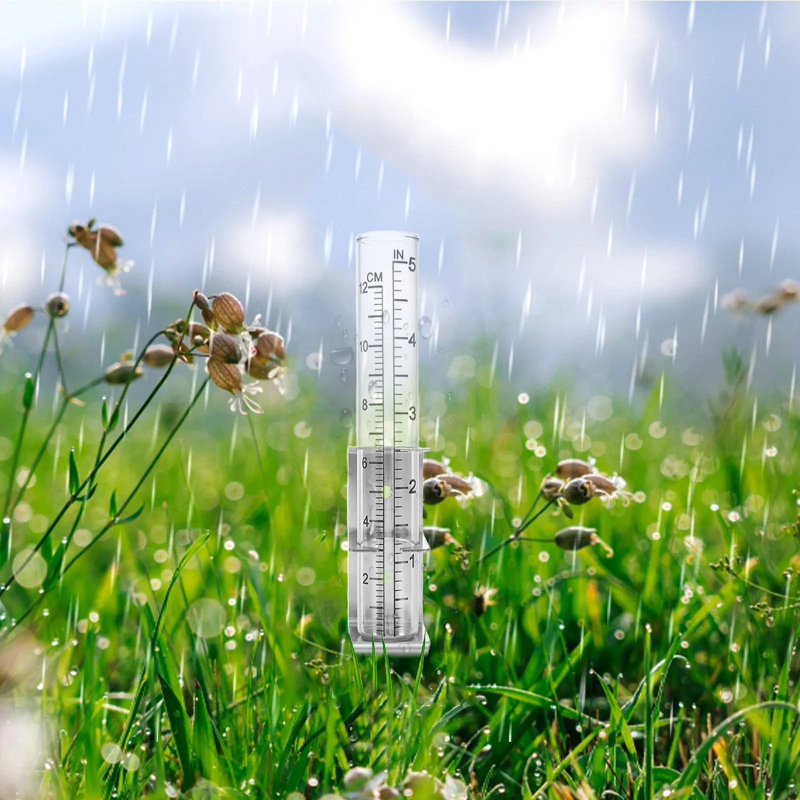 Outdoor Rain Gauge with Stainless Steel Holder and Clear Glass Tube for Accurate Rainfall Tracking Garden Patio Yard Rain