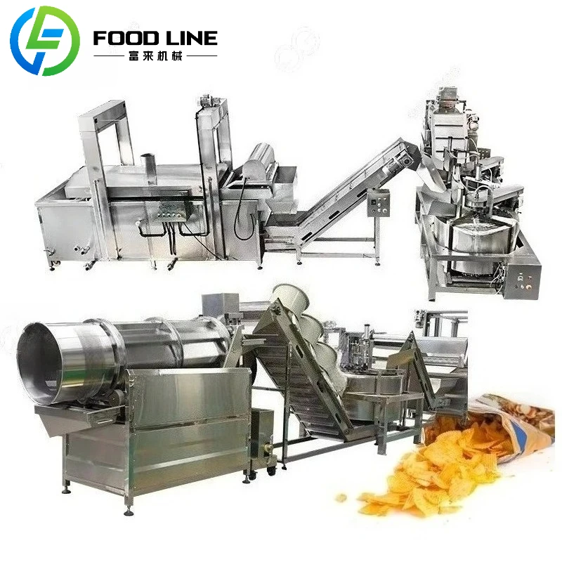 Continuous Gas Onion & Mushroom Chips Production Line Automatic Fryer PLC Control Easy Maintenance Best Seller