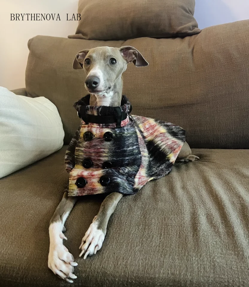 elegante-cappotto-stile-britannico-con-cintura-regolabile-per-levrieri-italiani-giacca-antivento-e-calda-di-lusso-per-cani-whippet