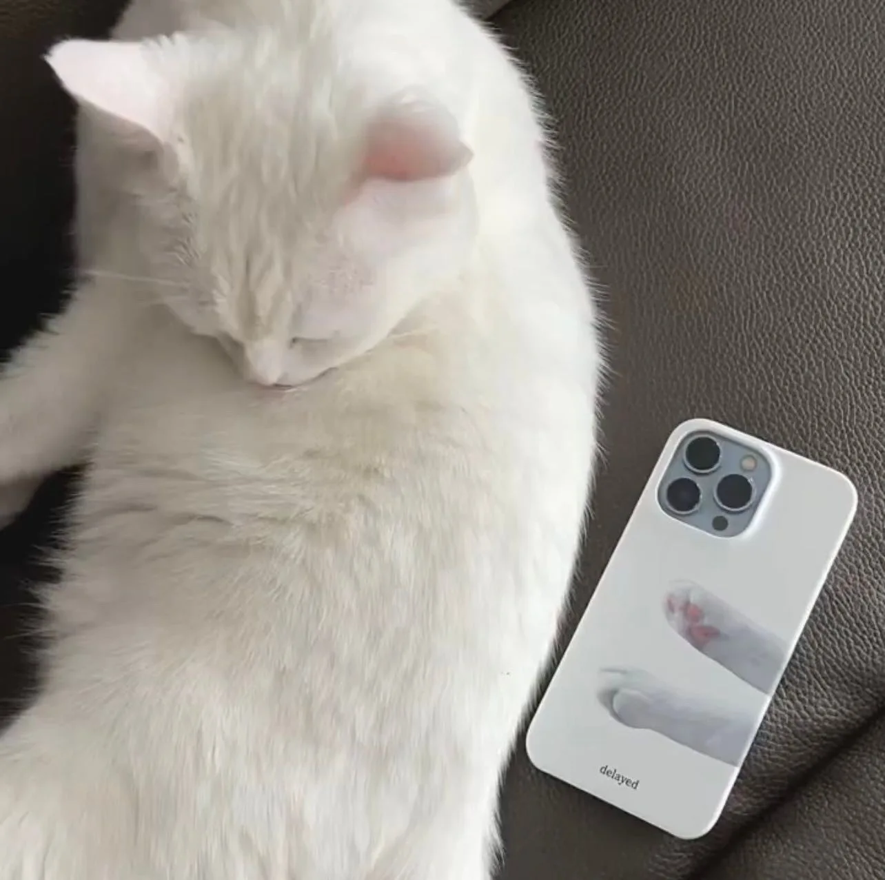 Feilin Adorable Pet Cat Jiojio for iPhone 16/14/12promax Apple 11xr Phone Case Hard Case iPhone 8 Plus Case