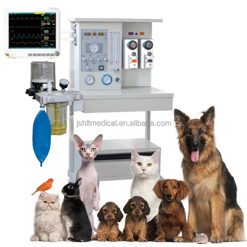 Medical Equipment Vet Hospital Clinic Veterinary Gas Machine for Sale
