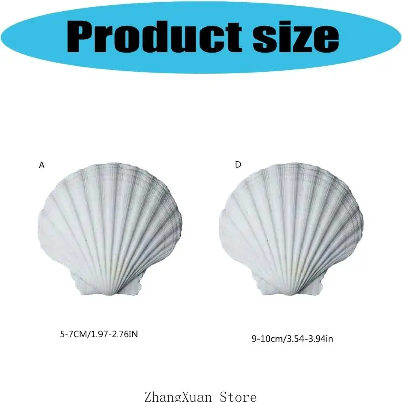 30 Stück weiße Muscheln zum Selbermachen, Malen, Backen und Hochzeitsdekorationen, natürliche gewellte Muscheln, Meeresthema – Detail 5