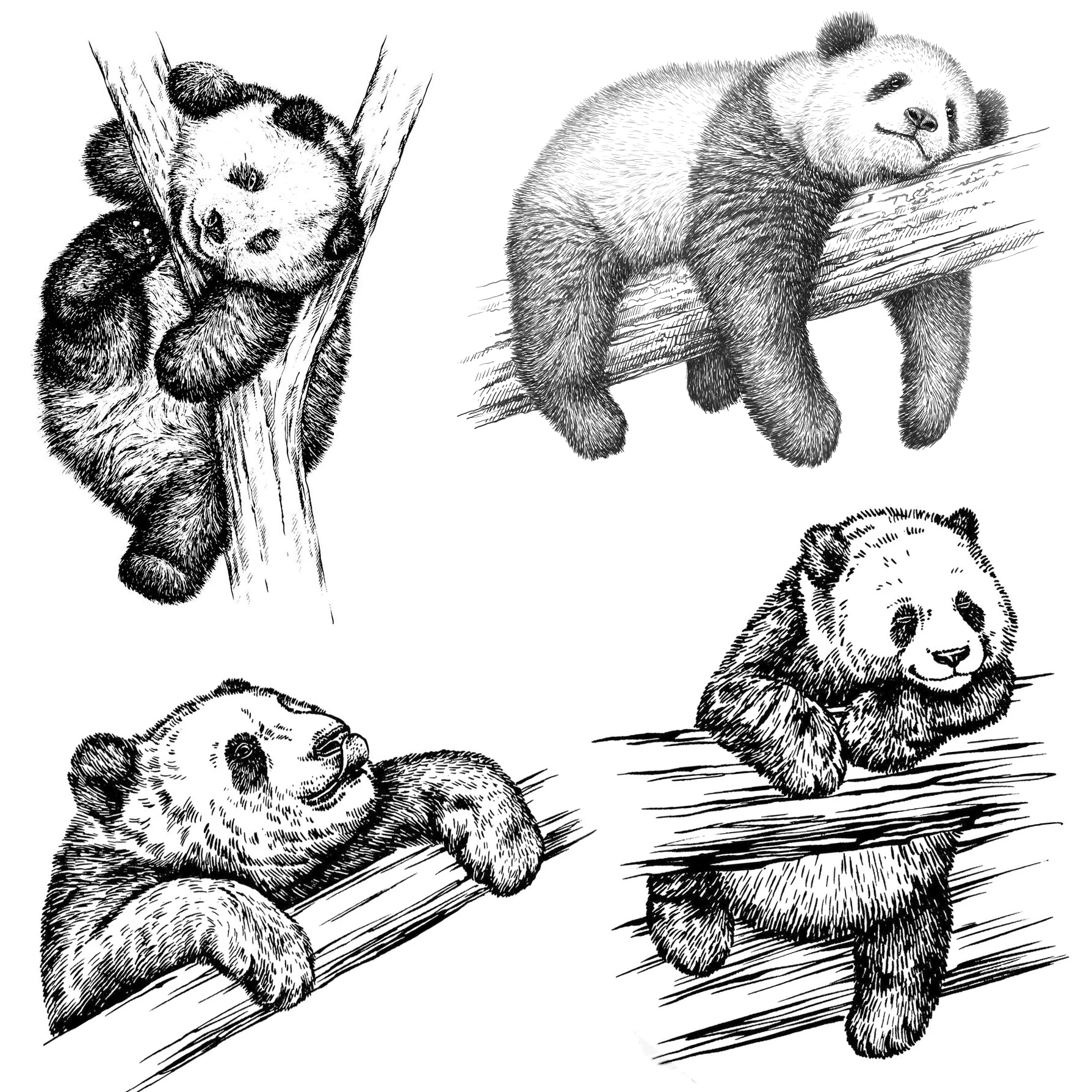 القط/السنجاب/الباندا/الكلب قطع يموت واضح Stamps سكرابوكينغ الحرف تزيين ألبوم صور النقش بطاقات صنع جديد