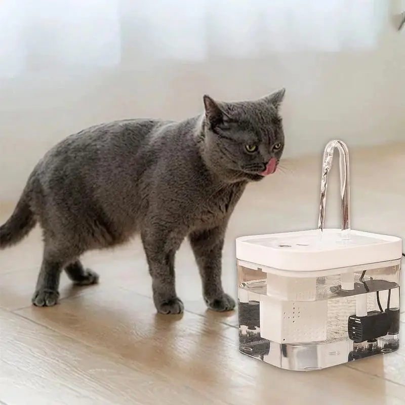 Cat Water Fountain Transparent Cat Bowls Cat Fountain Silent Recirculating Water Flow For Cats And Dogs Multiple Pet