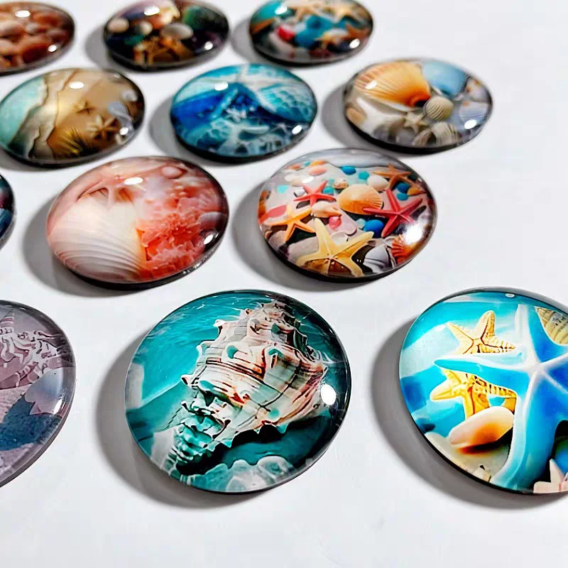 

12pcs Creative Colorful Dreamy Ocean Shell Conch Sea Star Refrigerator Magnets CutenFridge Magnets Photo Message Decorative