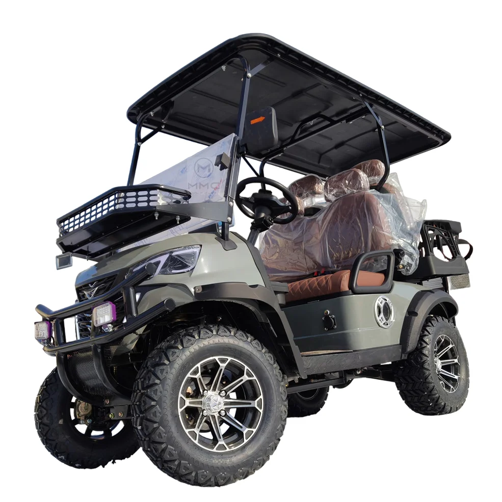 4-Person 48V/60V/72V Solar Panel Trolley Lithium Battery 14 Inch Tire Electric Golf Cart Dune Buggy Off-Road Golf Kart for Adult