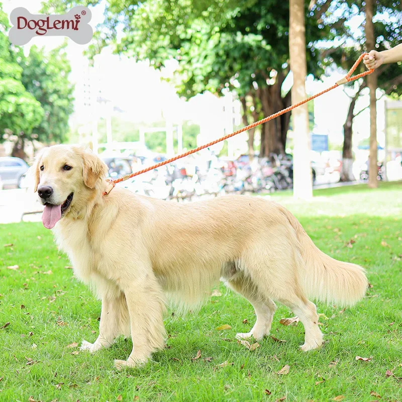 2 in 1 Durable Nylon Dog Leash collar Pet Puppy Walking Training Dog Leash Lead Dogs Leashes Strap Belt Cotton Traction Rope 170