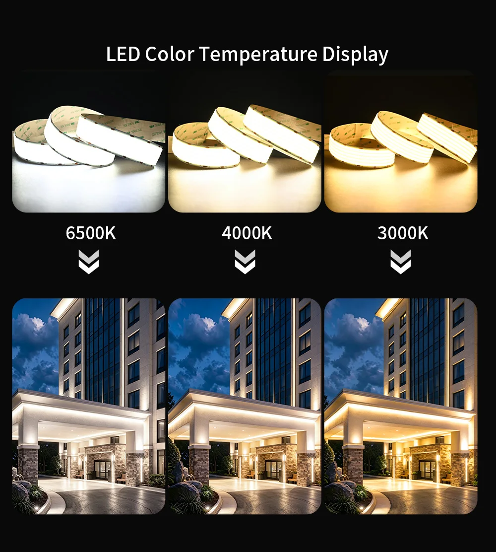4300lm/m COB LED-Streifenleuchte 5 Reihen Superhell 1600LEDs/m Flexibles LED-Band RA90 Hohe Dichte Dimmbare Lineare Beleuchtung 24V – Detail 3