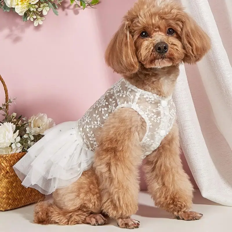 Pet Clothes Dog Wedding Party Prom Party Princess Dresses for Small Dogs Cat Costume White Mesh Dress Pet Supplies