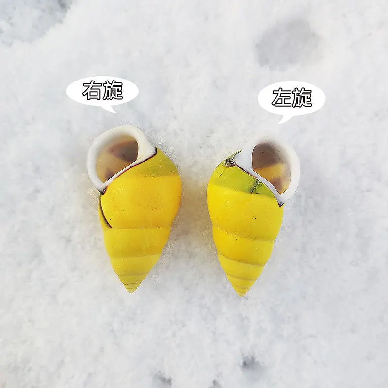 

Редкое украшение для аквариума из скорлупы Trochus, желтые спиральные образцы ударов и синистралов, 3 см, идеально подходит для витрины и аквариума D