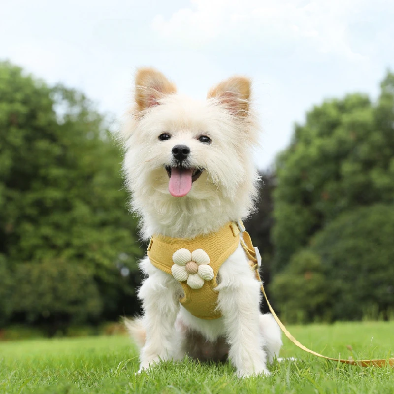 Cute Pet Harness Leash Set Small Dogs Adjustable Puppy Cat Harness Vest French Bulldog Chihuahua Pug Outdoor Walking Lead Leash