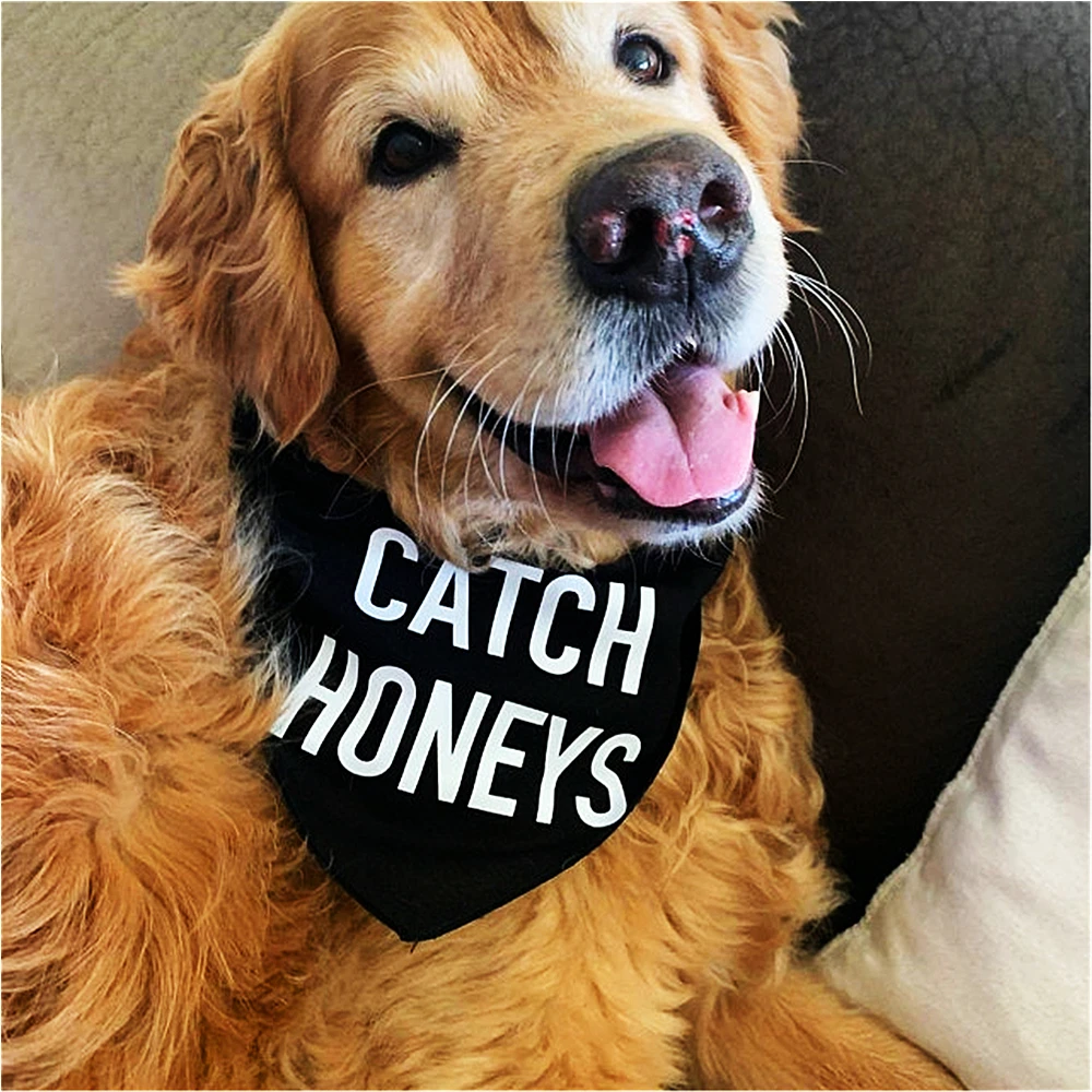 Personalised Dog Bandana Catch Honeys Color Options Black Red Blue Dog Accessories Pet Accessories for Dog Wedding Birthday