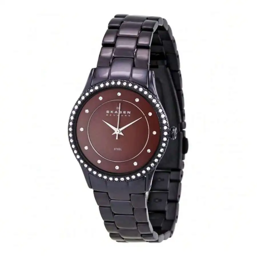 Skagen Glitz Women's Quartz Brown Stainless Steel Watch 347SDXD