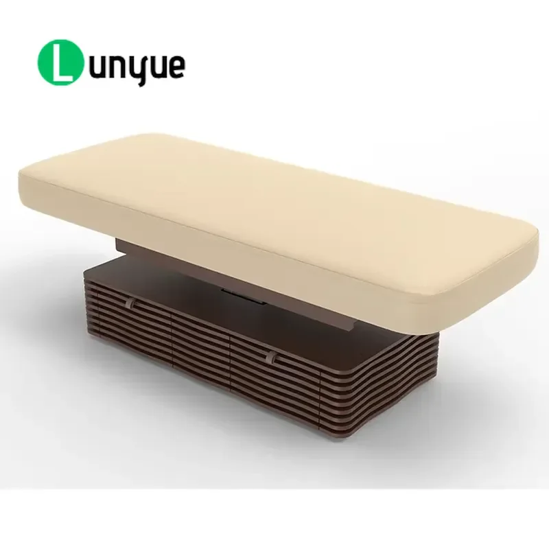 Adjustable Massage Bed Spa Table with 2 Drawers for Beauty Living Room Use Portable Facial Treatment Furniture