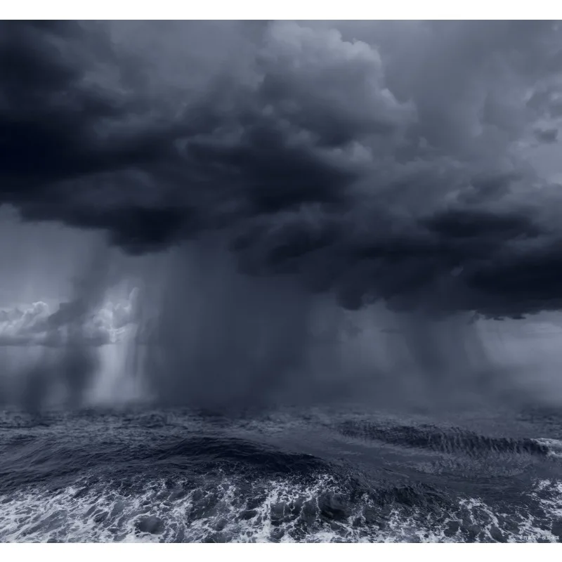 

Автомобильные аксессуары Tiy, 4 шт./компл., изогнутый задний бампер, плавники акулы, диффузор, спойлер, сплиттер, комплект кузова, универсальный для Ford Mustang 2015-20