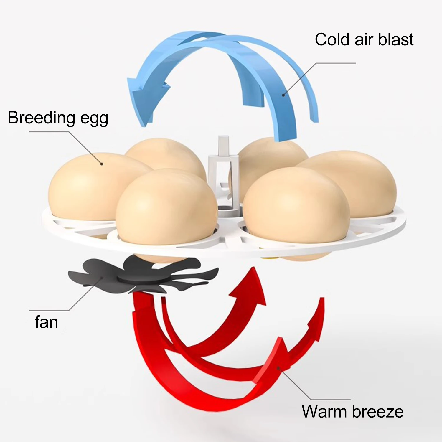 Mini Egg Incubator for 6-18 Eggs Fully Automatic Brooder Egg Incubator With Temperature Control LED Display for Hens and Birds