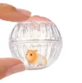 Hamster 2