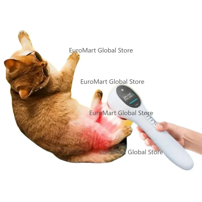 Material 650nm Semiconductor Red Light and Far    Therapy Instrument Handheld 6 Months Warranty Charging Lamp