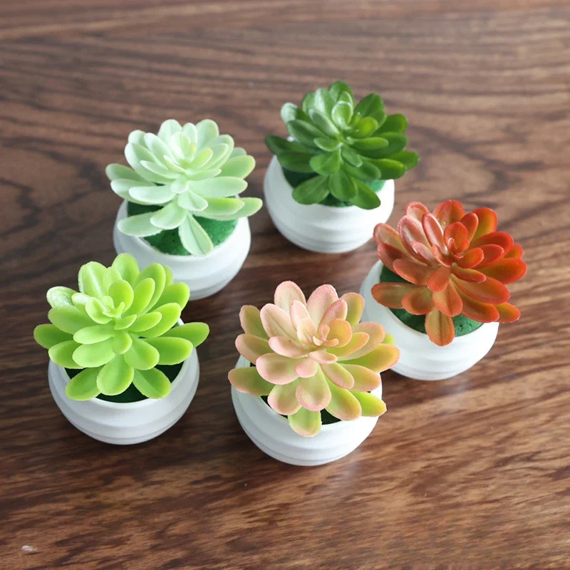 Artificial Succulent Bonsai Plants Simulation Succulents Mini Evergreen Bonsai Cactus Succulent Plastic Fake Plants Decor