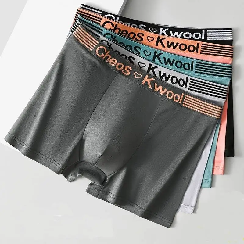 

5 pcs Summer Men Boxershorts Men's Underwear Breathable Teenager Men's Underpants Cool Men's Panties Boxershorts