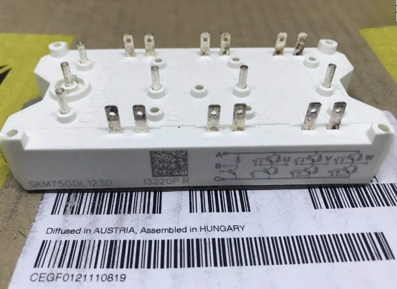 

Brand New SKM75GDL123D 1PCS Expedited shipping