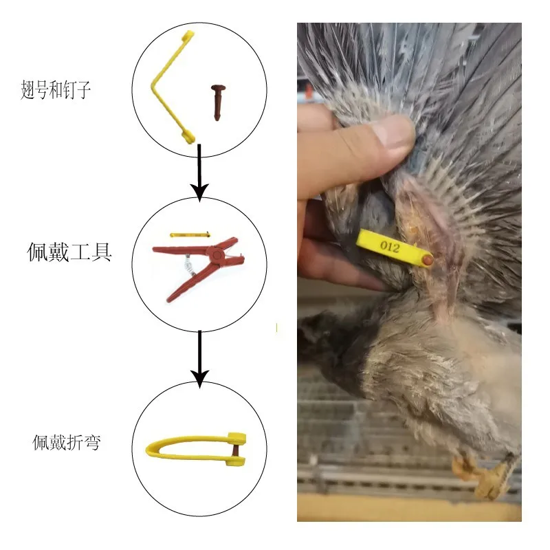 100Piece Bird Code Chicken Wing Number Bird Wing Number Bird leg ring Pigeon Foot Ring Chicken Foot Ring