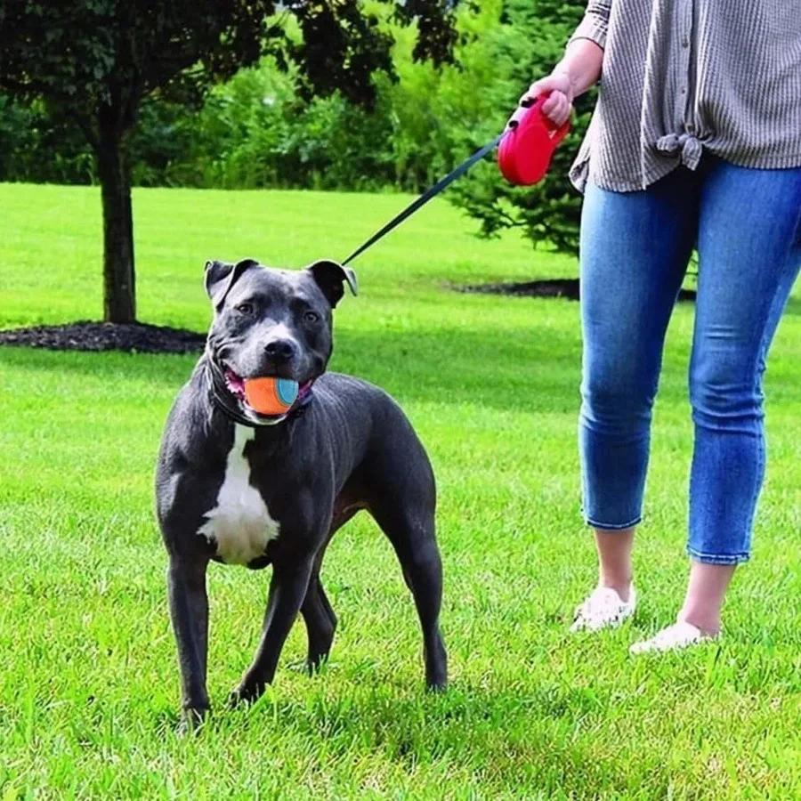 Dog Toys Teeth Sharpening Bite Resistant Balls Large Dogs Pet Training Dog Bite Balls Vocalizing C-Shaped Balls