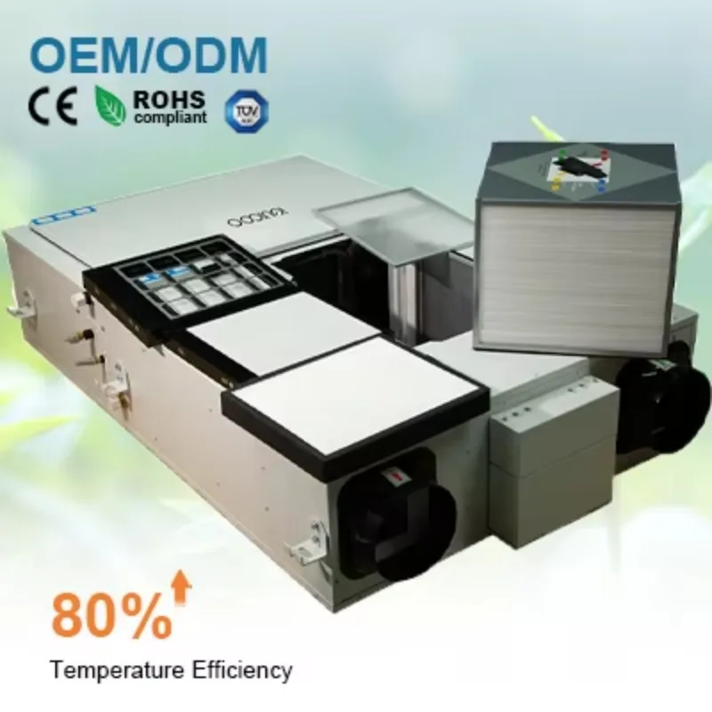 Multi Functional Stainless Steel Air-to-air Heat Exchanger Energy Recovery Ventilation System Erv Recuperator 500 M3/h