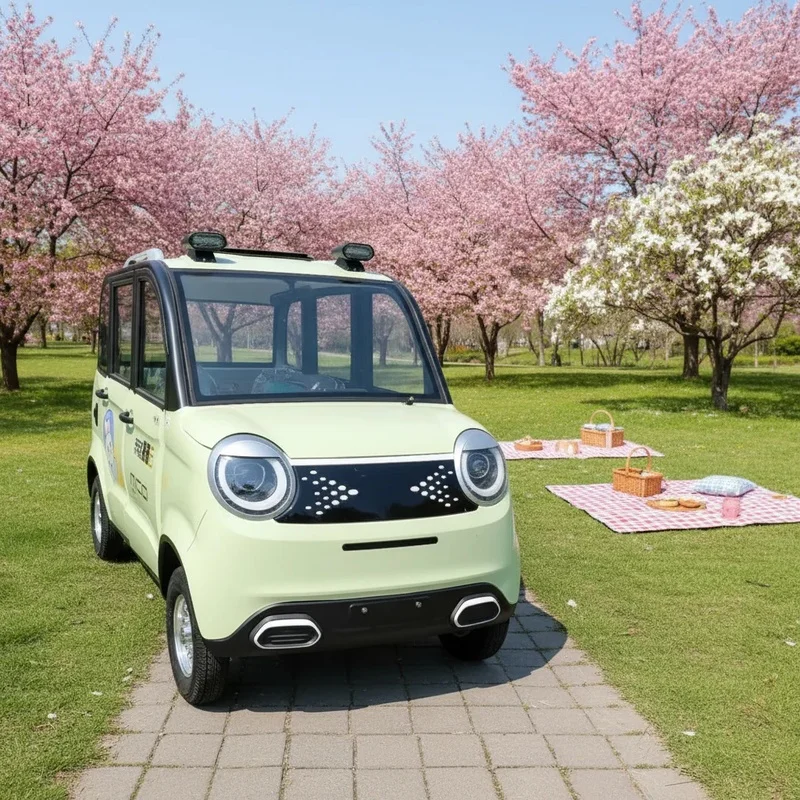 Hot Sale LTL EV Low Speed 4-Wheeler Car 4 1000W 201-300km Range Conditioning Family Travel Camping