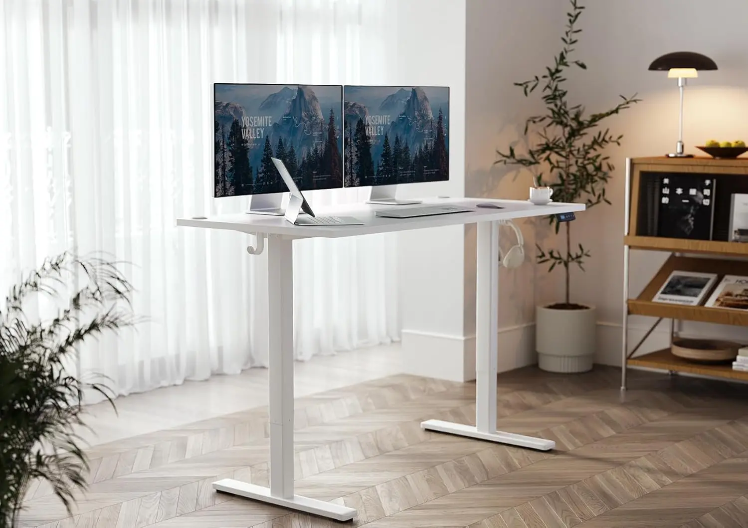 Electric Adjustable Height Desk, 63x24 Inch Standing Desk for Home Office & Computer Workstation, White