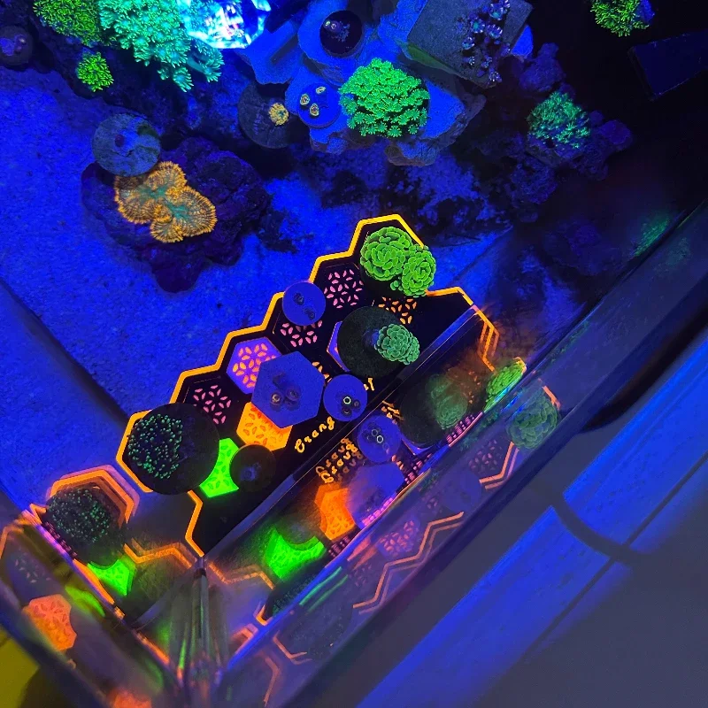 Aquarium Landscaping Fluorescent Coral Bracket with Magnetic Attraction Luminous Fragment Propagation Rack 3D Printed Bracket