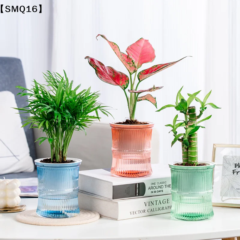 กระถางดอกไม้ไฮโดรโปนิกส์แบบอัต - Hydroponic Grow Pod บทวิจารณ์และราคา