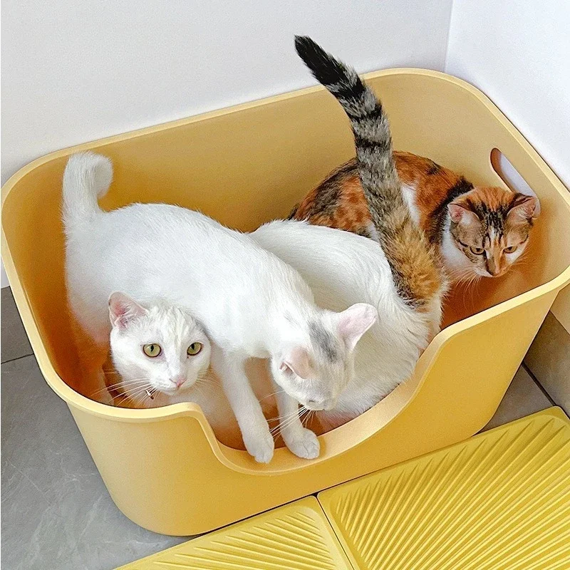 

Big cat, litter box, plus high splash protection, extra large, open.