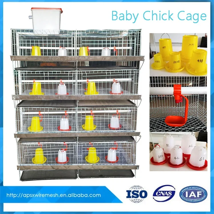 Newborn Battery Poultry Farming 4 Tiers 120 to 320 Birds Capacity H Type Baby Chick Brooder Chicken Cage