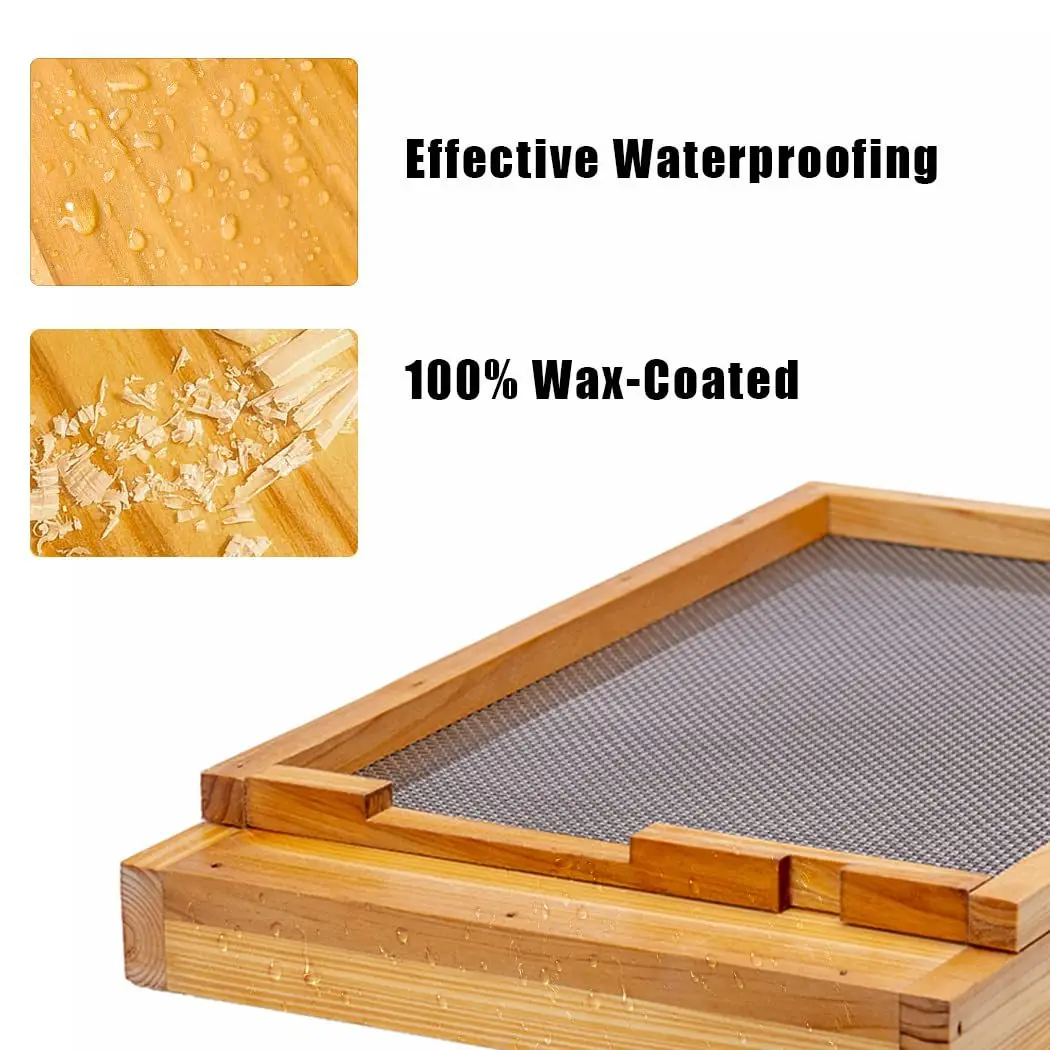 Ten-frame beehive special pumping bottom movable bottom boiled wax beehive bottom factory wholesale direct sales - view 3