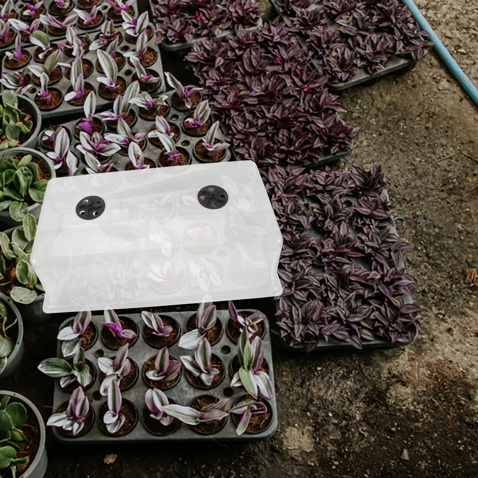 

Plant Dome For Heat Preservation, Reusable Plastic Gardening Tray Lid, Humidity Dome For Seed Germination, Nursery Pot