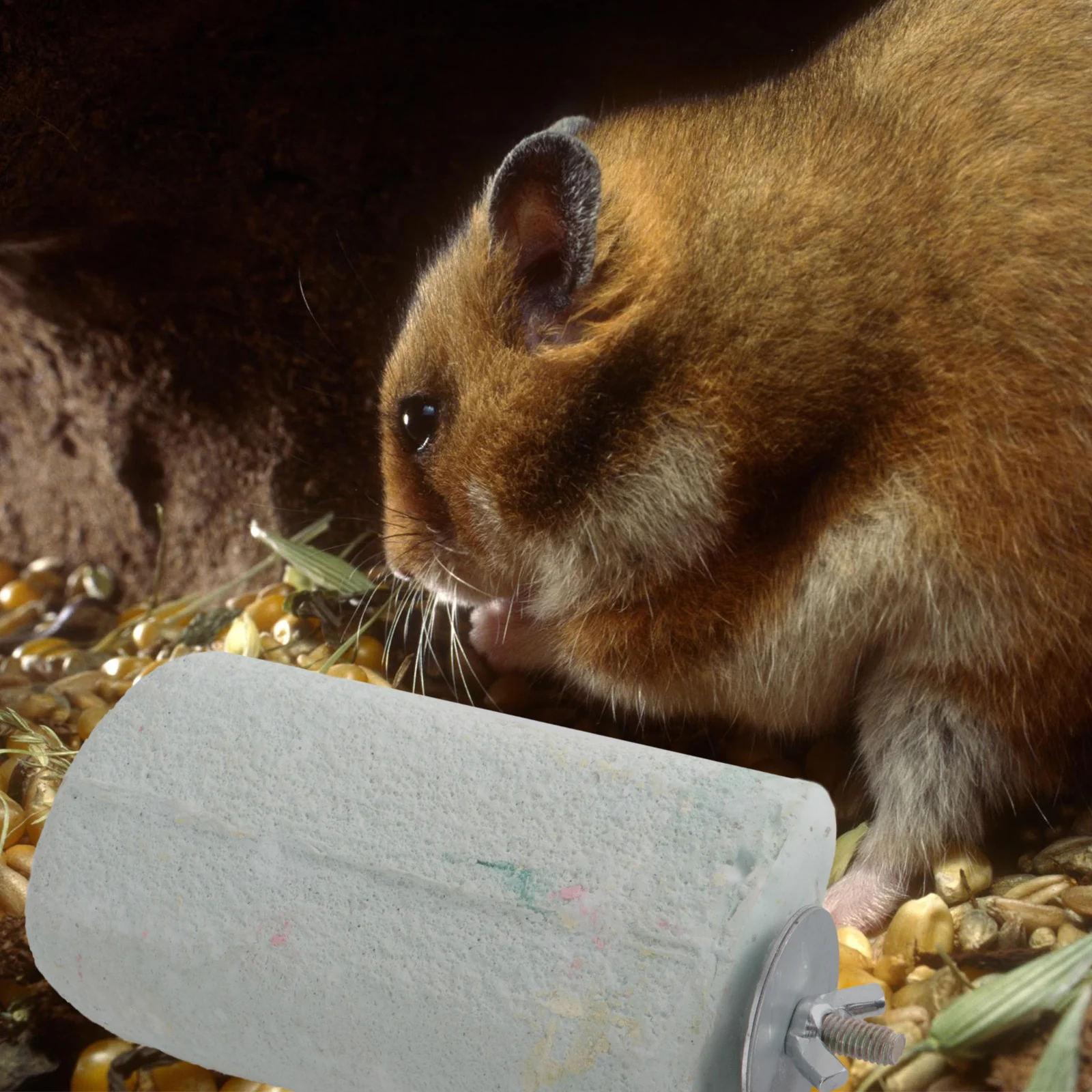 

Pumice Chew Lava Ledge Small Animal Teeth Cleaning Chew Hamsters Gerbils Rats Pet Supplies Ledge Hamster Toys Hamster Supplies