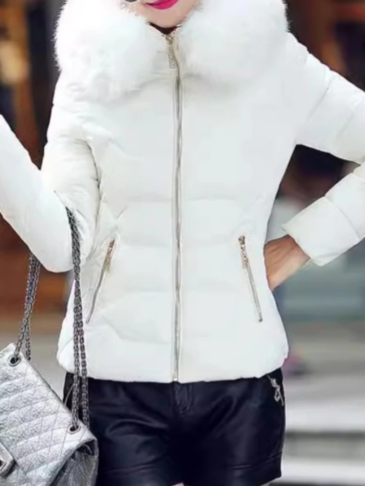الجديد في وصول سترة شتوية نسائية ضيقة مبطنة بالقطن معطف دافئ سميك للسيدات معاطف طويلة سترات نسائية