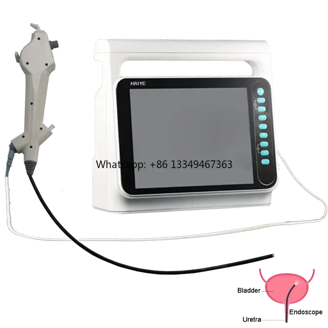 

Disposable Veterinary Portable Flexible USB Video Endoscope cystoscope For Small Animal