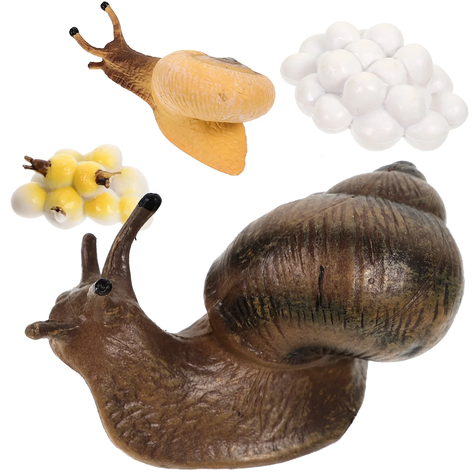 

Animal Growth Cycle Snail Figurine Toy Cognitive Plaything Models Simulation Toys Imitation Teaching Props Miniature Figures