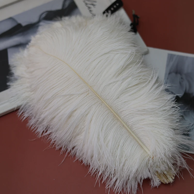 10Pcs/Lot 60-65cm White Ostrich Feathers for Home Table Centerpiece Handicraft Accessories Wedding Party Decoration