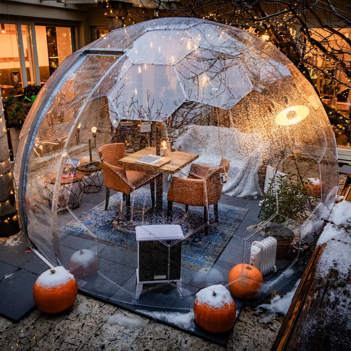 

Glamping Just Got Better With Our Transparent Bubble Tent Offering Full Panoramic Views And All Weather Protection