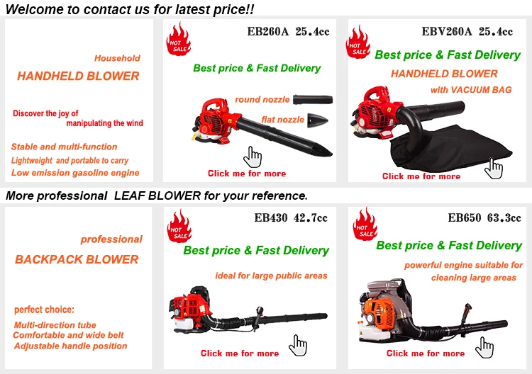 EB650E-A Garden Farm Powerful 2 Stroke Gasoline Snow Blower Garden Leaf Blower