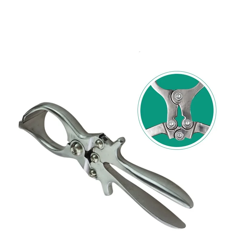 1 Pcs Stainless Steel Without Blood Pig Sheep castration Clamp Castration Tool Castration Forceps Livestock Tools